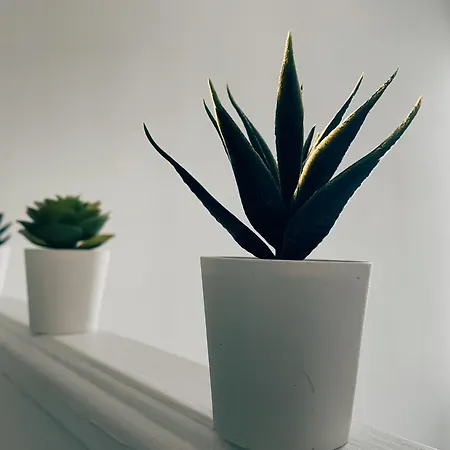 Respire Apartment