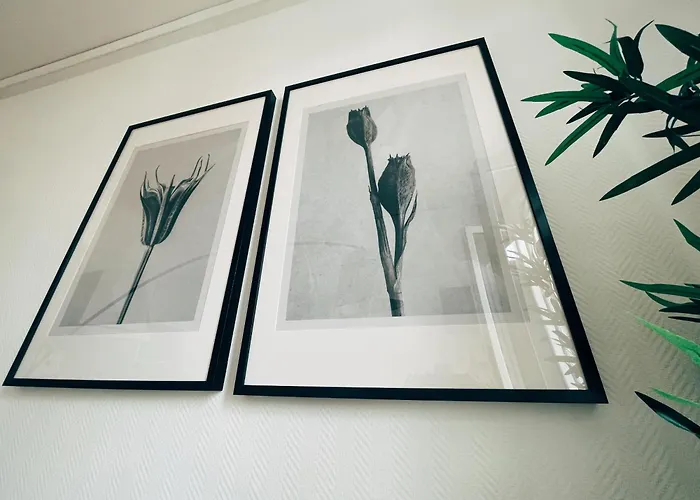 Apartament Respire Bordeaux