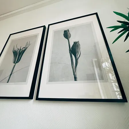 Apartman Respire Bordeaux